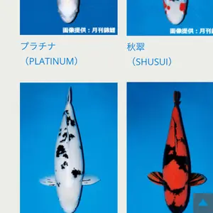 山根寛齋作 桑縁縦額 額縁 - メルカリ