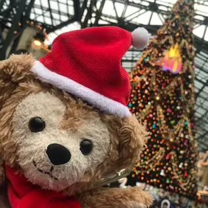 ☆新品未使用☆ディズニー クリスマス2025 ショッピングバッグ - メルカリ