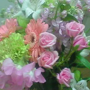 紗倉（評価後のメッセージができません）