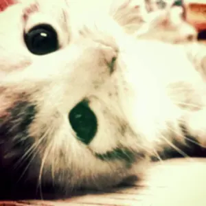 岩谷翔吾 アクリルスタンド - メルカリ