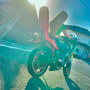 チェリーテール？ ジャパンテール？ カウルフェンダー付き バブ ホーク