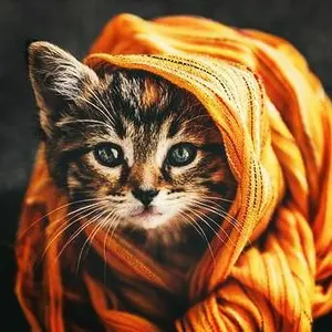 【00s archive】ナポレオンジャケット　ブルゾン　y2k お兄系　古着 00s archive】ナポレオンジャケット ブルゾン y2k お兄系 古着