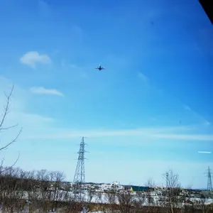 ハコニワリリィ Hanon 2ndワンマン 直筆サイン 缶バッジ - メルカリ