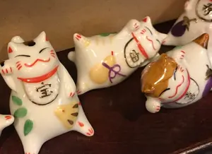 小ぶり︎タイプ】メルカリ特別価格 色育つ1番皮沢皮 国産信州山葡萄籠