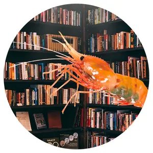 ★まとめ買い依頼★歓迎★値下げ依頼★