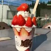 リーバイス501パッチワークダークブルー デニム ダメージ加工LVC青山