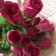 ☘️Lilac-Olive☘