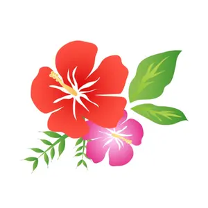 食器洗いレースたわし〈11枚セット〉 291 両面レース - メルカリ