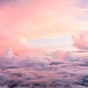 ◉【早い者勝ち！】テニスの王子様 アニメトレカ vol.10 レア ジュニア