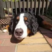 EPOCH2020 内藤尚行 直筆サイン 1of1 - メルカリ