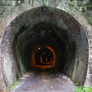 mtg 未来予知 Horizon Canopy / 地平線の梢 英4枚 - メルカリ