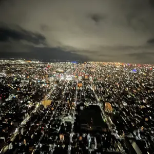 アリシアスタン ケアベアコラボ タイサイドBTM sydney S - メルカリ