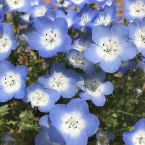 AUREA. Bar Hoop Ear Clip シルバー 川村壱馬 - メルカリ