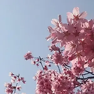 あんスタ 中国 台湾 アクスタ 缶バッジ 群星 ハート缶 渉 桃李 弓弦