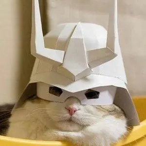 純正ラベル付☆偽物にご注意☆取説！動作保証付☆アクア