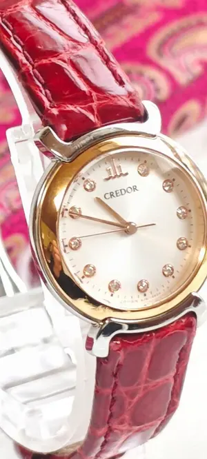 SEIKO HIROB 別注 SZRW002 グレージュ ソーラー 腕時計 箱付 - メルカリ