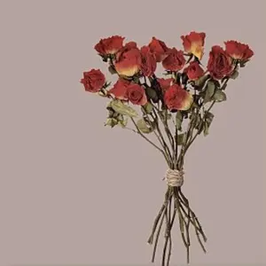 特大！ミラーボール 直径約40cm 吊り下げ式 - メルカリ