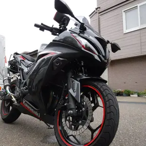タイムセール　Ninja250 Z250  キャリア＋サイドサポート　送込み タイムセール Ninja250 Z250 キャリア＋サイドサポート 送込み