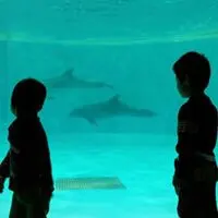 ♡ギンギンちょっぷ♡＊プロフ必読＊