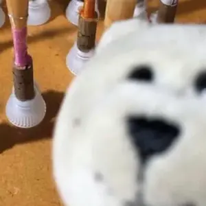 Reeds'n Stuff リードケース 20本 旧型 - メルカリ