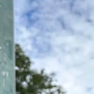 カルボナーラ【プロフ必読】