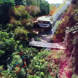 ✨kani✨24時間以内発送。