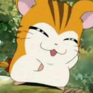 SEVENTEEN エスクプス Face The Sun HMV ラキドロ - メルカリ