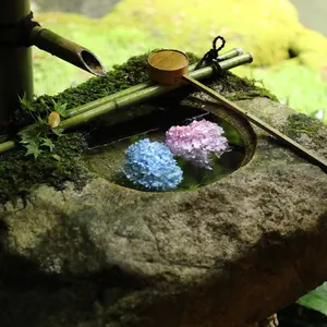 値下げ【レア】阪神タイガース 藤川監督 直筆サイン ユニフォーム 90