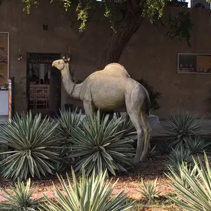 未開封新品現地購入】iri Live会場限定 大型B2ポスター - メルカリ