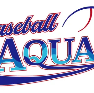 623 ナイキEDGE MVP 極美品 軟式 キャッチャーミット - メルカリ