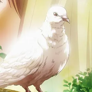 PSA9 キモリ スター ☆ 1st 011 ロケット団の逆襲 - メルカリ