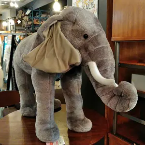 禅画 花鳥図 二十四節気 色紙 セット - メルカリ