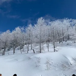 Rossignol SIN 7 【164】スキー アルパインビンディング付き - メルカリ