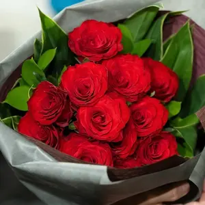 metamorphose Dressyジャガードレースマント B品サンプル - メルカリ