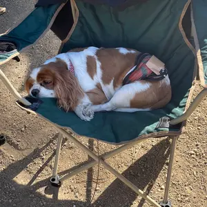 セール中^_^大きめ FRP水槽 黒色 排水機能付き セール中^_^大きめ FRP水槽 黒色 排水機能付き