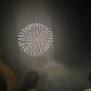 USO / エピックユニバース限定】ハリーポッター フェニックス ワンド箱