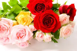 ▲VN770/N Win11/Core i7/3000GB/8GB/Office MSI Gaming Desktop PC Aegis Z2 A8NVR-1611US AMD Ryzen 7