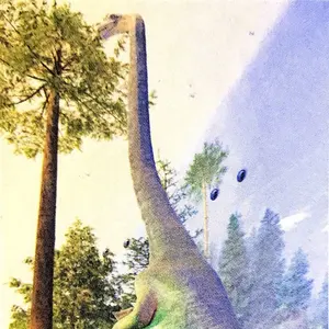 Acne Studios 大判マフラー SUZY着用 ピンク ローズメランジ - メルカリ