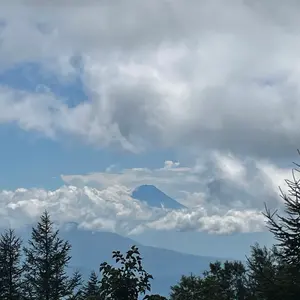 イコラブ 野口衣織 イコノイジョイ2024 黒セーラー マジジョ 生写真