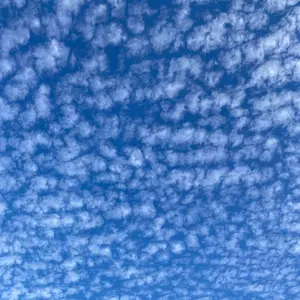 レオナールスポーツ 40 ダウンベスト - メルカリ