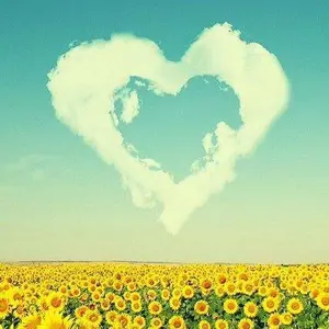 なおすけ/中古 松模様の黒赤寿司桶 直径約20cm なおすけ様専用/中古 松模様の黒赤寿司桶 直径約20cm - メルカリ