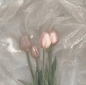 ★引っ越しの為断捨離中★kurome♡