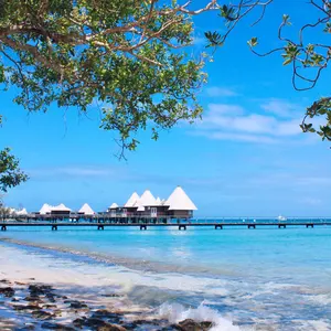 極美品】【値下げ】GUCCI グッチ ラバーサンダル ホワイト サイズ: 39