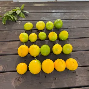 リュウジ　値引交渉歓迎