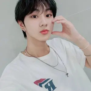 SEVENTEEN FOLLOW AGAIN うちわ 新品未開封 ホシ - メルカリ