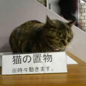 オマケ付き』2023 ピカチュウ グレーのフェルト帽子 PSA 10 - メルカリ