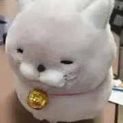 銀魂 かる魂3 〜special ver.〜 限定発売 新品未開封 販売終了品