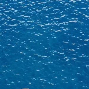 WALES BONNER ADIDAS】シルバーショートパンツ - メルカリ