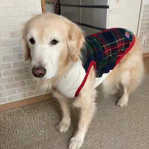 ウッドタグ定規マッチ箱ラベルなどNo.770 - メルカリ