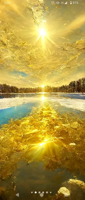 1箱限定】呪術廻戦 超大量 220点以上 まとめ売り 激安 五条悟